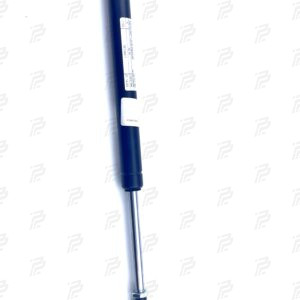 Pneumatic spring