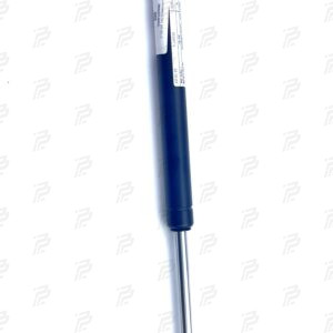 Pneumatic spring