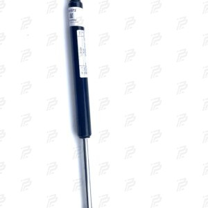 Pneumatic spring