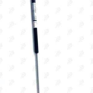 Pneumatic spring