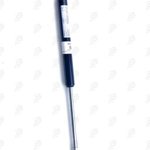 Pneumatic spring