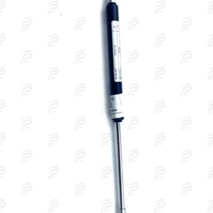 Pneumatic spring