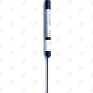 Pneumatic spring