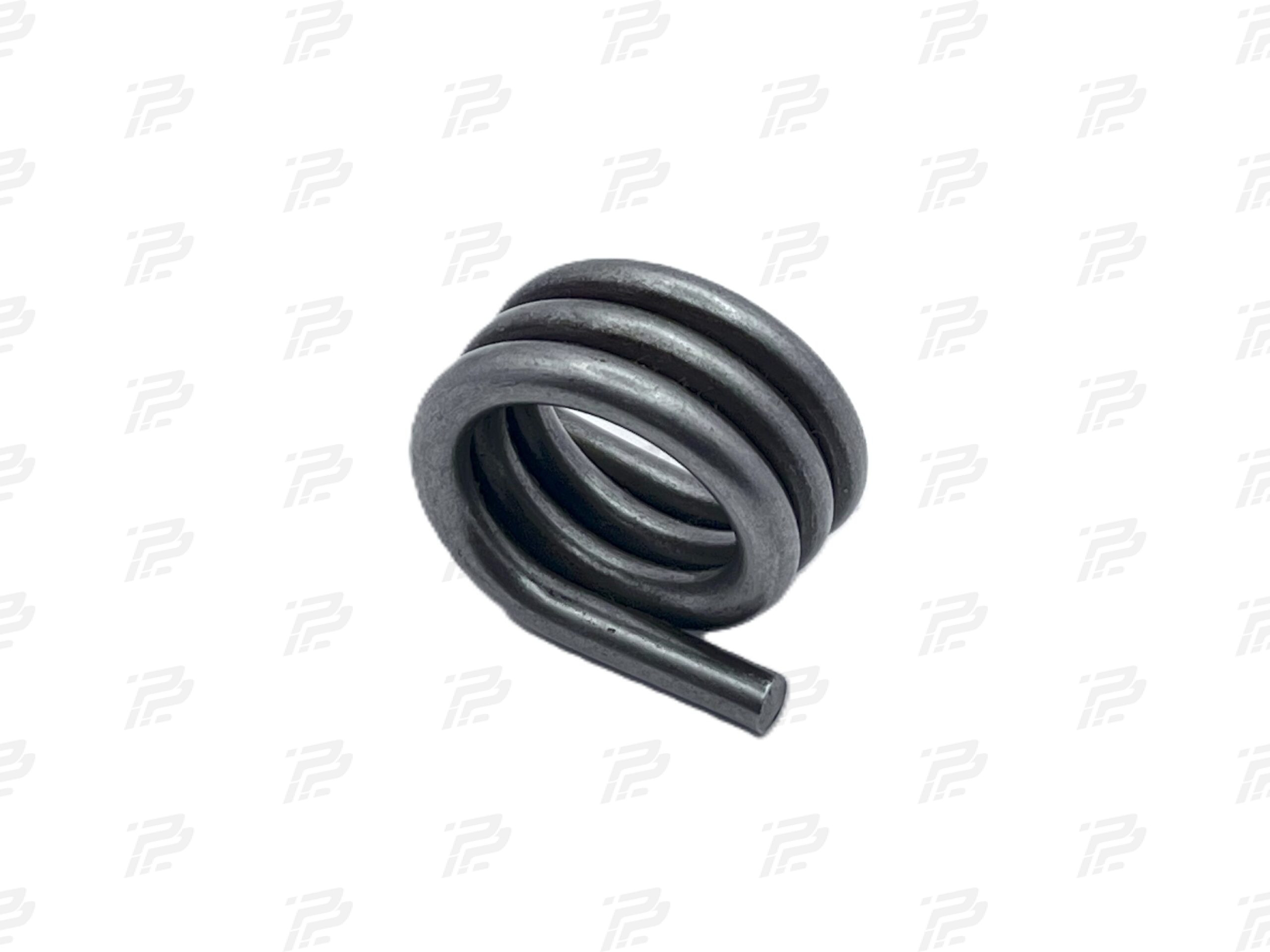 Torsion spring