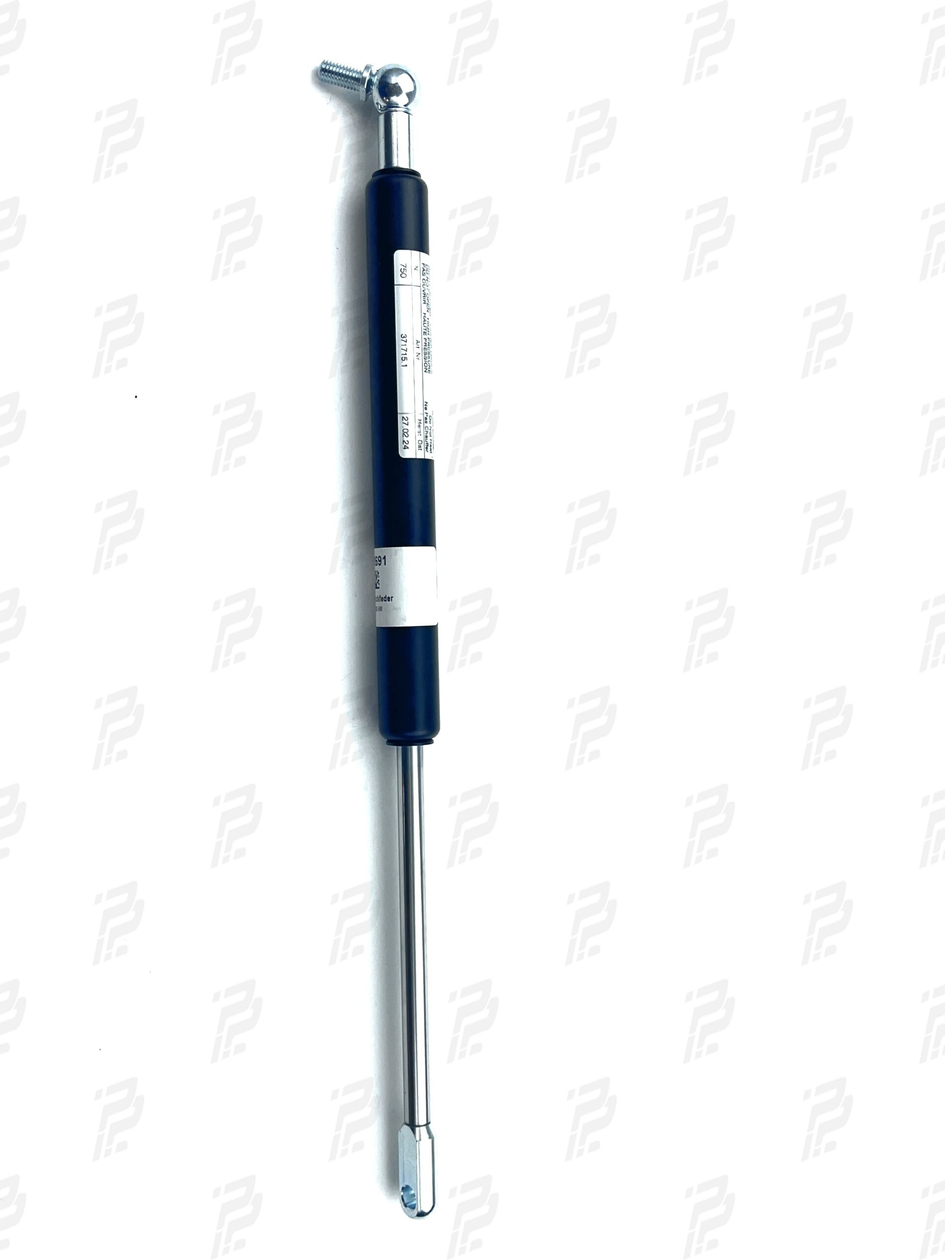Pneumatic spring