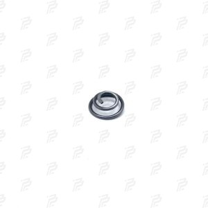 Compression spring