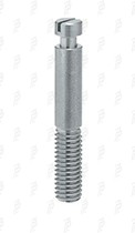Screw/ shank screw/ collar screw