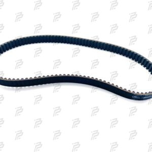 Toothed belt